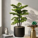 Bonsai Plant with Capsule Shape Fiber Planter